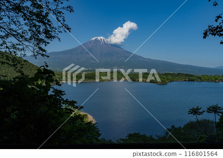Lake Tanuki - Tanuki Observatory 116801564