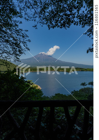 Lake Tanuki - Tanuki Observatory 116801565