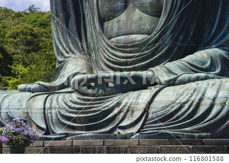 Kamakura Great Buddha 116801588