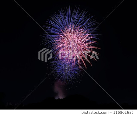 燦爛的煙花 116801685