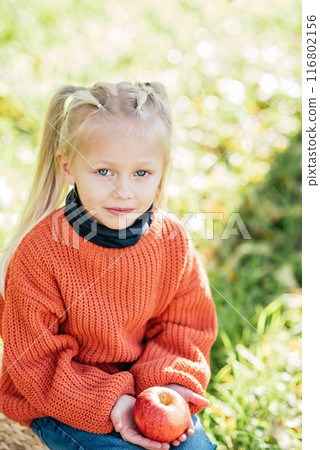 Blonde girl in orange sweater holding apples while sitting in orchard on a sunny day. Child picking apples on farm in autumn. Healthy nutrition. autumn and the joy of apple picking. Blonde girl in orange sweater holding apples while sitting in orchard on a sunny day. Child picking apples on farm in autumn. Healthy nutrition. autumn and the joy of apple picking. 116802156