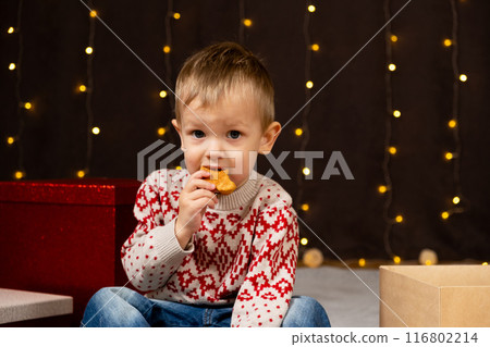 Cute little boy eating gingerbread. Christmas Kids Cute little boy eating gingerbread. Christmas Kids 116802214