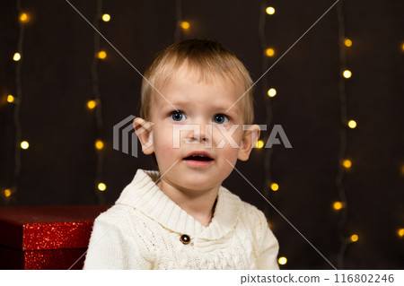 Portrait of a cute two-year-old boy on the background of a bokeh garland at home. Christmas children Portrait of a cute two-year-old boy on the background of a bokeh garland at home. Christmas children 116802246