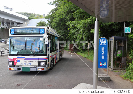 Tokushima Bus (Route 98: JR Naruto Station bound) stopping at Naruto Park stop Tokushima Bus (Route 98: JR Naruto Station bound) stopping at Naruto Park stop 116802838
