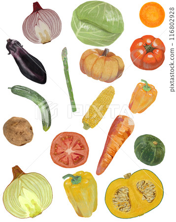Vegetable pattern_white background_vertical Vegetable pattern_white background_vertical 116802928