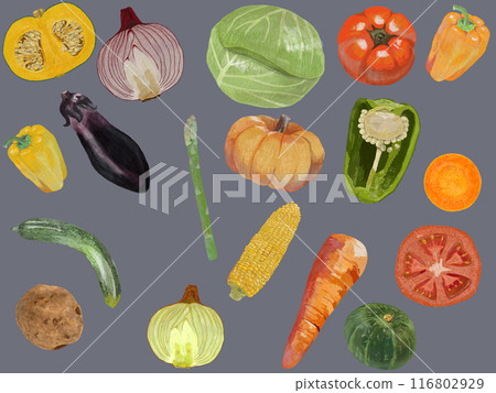 Vegetable pattern_Ash background_Horizontal Vegetable pattern_Ash background_Horizontal 116802929