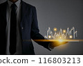 Businessman Hand Hold Tablet and Stock Market Graph and Online Products 116803213