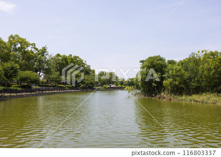 大阪城城北公園夏季景觀 大阪城城北公園夏季景觀 116803337