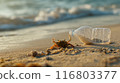 Crab and plastic waste on beach 116803377