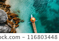 Aerial View of Tropical Beach with Boat 116803448