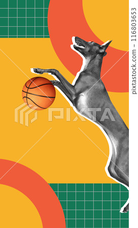 Black and white purebred dog playing basketball against multicolored abstract background. Contemporary art collage. 116803653