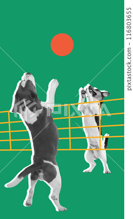 Two purebred dogs cheerfully playing beach volleyball against green background. Contemporary art collage. Two purebred dogs cheerfully playing beach volleyball against green background. Contemporary art collage. 116803655