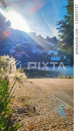 Douro River Valley in Portugal on a sunny summer day 116803717