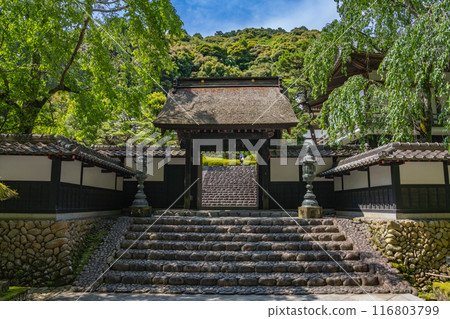和田山尊永寺風景（靜岡縣） 116803799