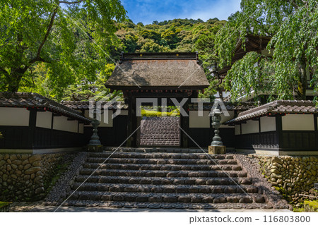 和田山尊永寺風景（靜岡縣） 116803800