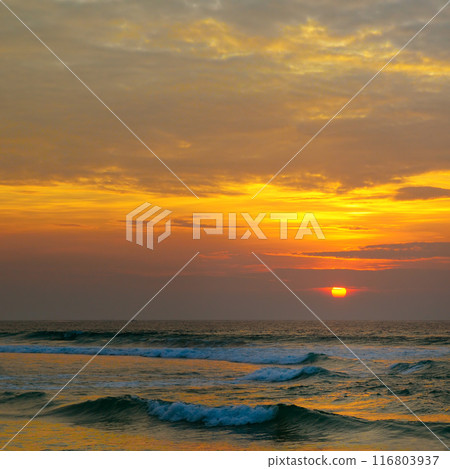 Sea and bright Sunrise. Concept - vacation and travel. Sea and bright Sunrise. Concept - vacation and travel. 116803937