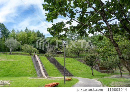Lush park Lush park 116803944