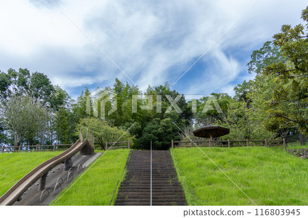 Lush park Lush park 116803945