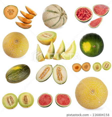 group of melon in studio group of melon in studio 116804158