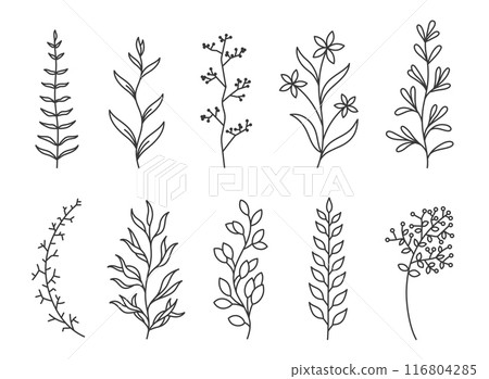 Flowers branch doodle. Hand drawn herbs line plants with leaves. Summer and spring rural branches. Natural decorative foliage sketch leaf floral isolated elements for wedding greeting card vector set Flowers branch doodle. Hand drawn herbs line plants with leaves. Summer and spring rural branches. Natural decorative foliage sketch leaf floral isolated elements for wedding greeting card vector set 116804285