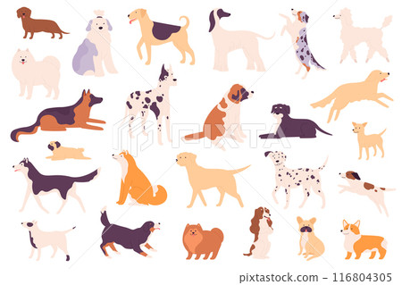 Simple dogs. Different dog breeds including a Shiba Inu, Poodle and Bulldog, Shih Tzu and Chow Chow, Dachshund and Wiener, German Shepherd and Labrador vector puppy pets set isolated 116804305