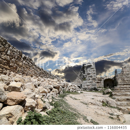 The ayyubid castle of Ajloun (built in the 12th century) in northern Jordan, Middle East The ayyubid castle of Ajloun (built in the 12th century) in northern Jordan, Middle East 116804435