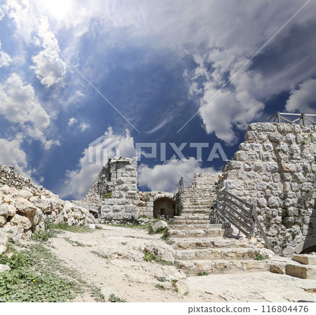 The ayyubid castle of Ajloun (built in the 12th century) in northern Jordan, Middle East The ayyubid castle of Ajloun (built in the 12th century) in northern Jordan, Middle East 116804476