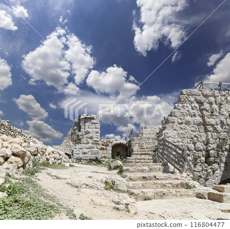 The ayyubid castle of Ajloun (built in the 12th century) in northern Jordan, Middle East The ayyubid castle of Ajloun (built in the 12th century) in northern Jordan, Middle East 116804477