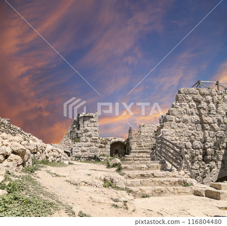 The ayyubid castle of Ajloun (built in the 12th century) in northern Jordan, Middle East The ayyubid castle of Ajloun (built in the 12th century) in northern Jordan, Middle East 116804480