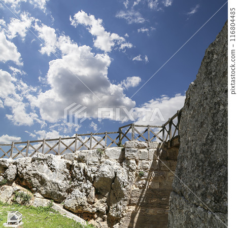 The ayyubid castle of Ajloun (built in the 12th century) in northern Jordan, Middle East The ayyubid castle of Ajloun (built in the 12th century) in northern Jordan, Middle East 116804485