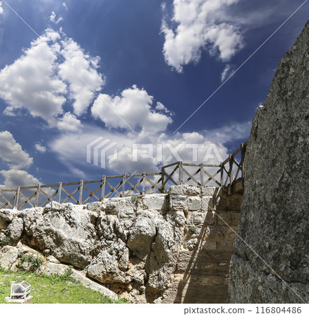 The ayyubid castle of Ajloun (built in the 12th century) in northern Jordan, Middle East The ayyubid castle of Ajloun (built in the 12th century) in northern Jordan, Middle East 116804486