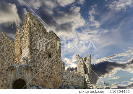 The ayyubid castle of Ajloun (built in the 12th century) in northern Jordan, Middle East The ayyubid castle of Ajloun (built in the 12th century) in northern Jordan, Middle East 116804495