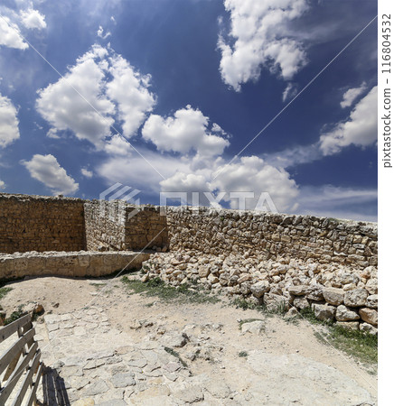 The ayyubid castle of Ajloun (built in the 12th century) in northern Jordan, Middle East 116804532