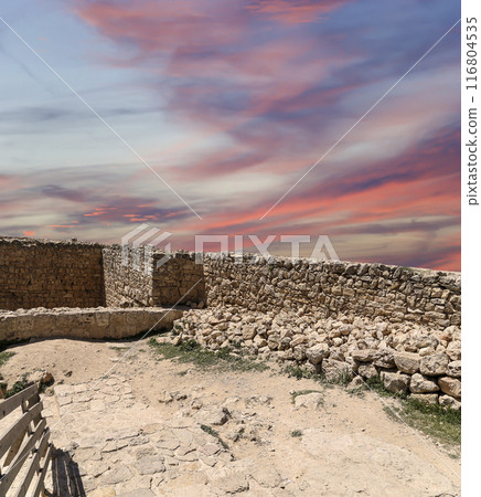 The ayyubid castle of Ajloun (built in the 12th century) in northern Jordan, Middle East The ayyubid castle of Ajloun (built in the 12th century) in northern Jordan, Middle East 116804535