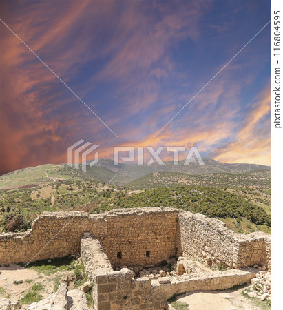 The ayyubid castle of Ajloun (built in the 12th century) in northern Jordan, Middle East The ayyubid castle of Ajloun (built in the 12th century) in northern Jordan, Middle East 116804595