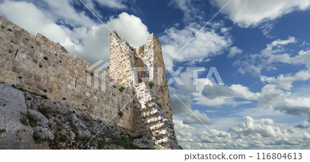 The ayyubid castle of Ajloun (built in the 12th century) in northern Jordan, Middle East 116804613