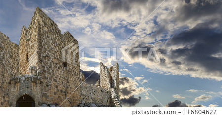 The ayyubid castle of Ajloun (built in the 12th century) in northern Jordan, Middle East 116804622