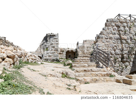 The ayyubid castle of Ajloun (built in the 12th century) in northern Jordan, Middle East. On white background The ayyubid castle of Ajloun (built in the 12th century) in northern Jordan, Middle East. On white background 116804635