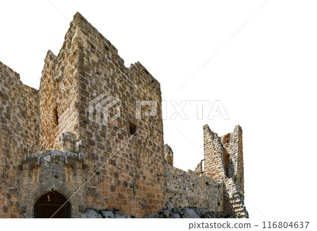 The ayyubid castle of Ajloun (built in the 12th century) in northern Jordan, Middle East. On white background 116804637