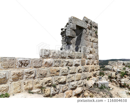 The ayyubid castle of Ajloun (built in the 12th century) in northern Jordan, Middle East. On white background 116804638