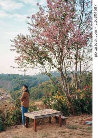 Happy asian woman resting on hill with wild himalayan cherry tree blooming in springtime Happy asian woman resting on hill with wild himalayan cherry tree blooming in springtime 116804697