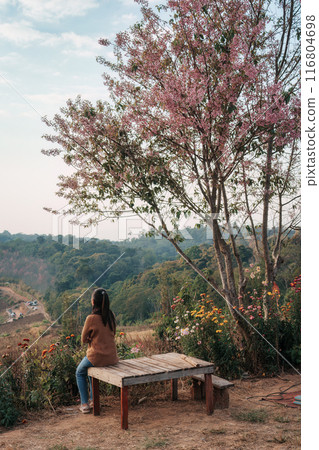 Happy asian woman resting on hill with wild himalayan cherry tree blooming in springtime Happy asian woman resting on hill with wild himalayan cherry tree blooming in springtime 116804698