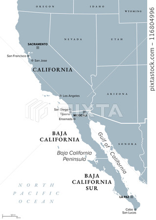 The Californias, a region of North America, gray political map. Spanning the United States and Mexico, consisting of U.S. state California and Mexican states Baja California and Baja California Sur. 116804996