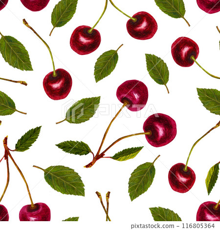 Watercolor Seamless Pattern With Cherry Watercolor Seamless Pattern With Cherry 116805364