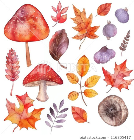 Watercolor Autumn Leaves and Mushrooms. Nature Inspired Botanical Illustration Watercolor Autumn Leaves and Mushrooms. Nature Inspired Botanical Illustration 116805417