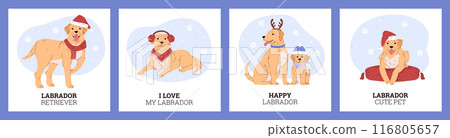 Labrador retriever dogs with christmas hat in different poses vector posters set, cartoon cute friendly dog and puppy 116805657