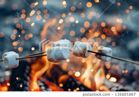 Marshmallows Roasting Over A Campfire 116805867