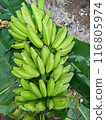 banana, bananas, fruit 116805974