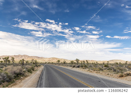 Joshua Tree National Park 116806242