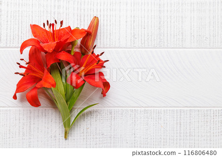 Red lily flowers set 116806480